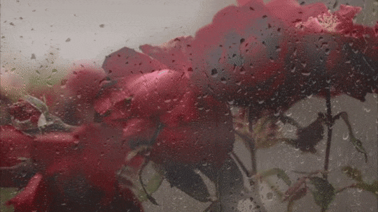 видео с эффектом дождевых капель и запотевшего стекла