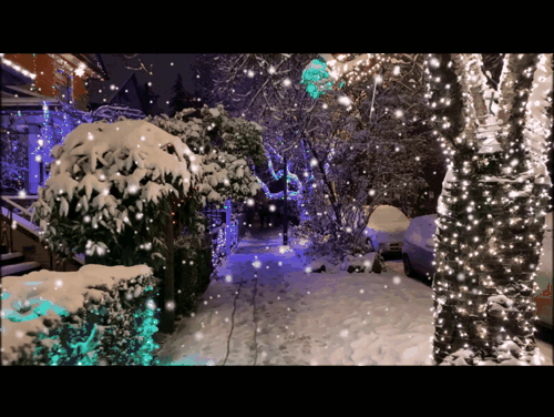 зимнее видео с легким снегопадом